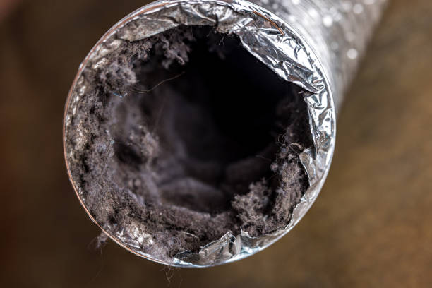 Reliable Occidental, CA Airduct Cleaning Solutions